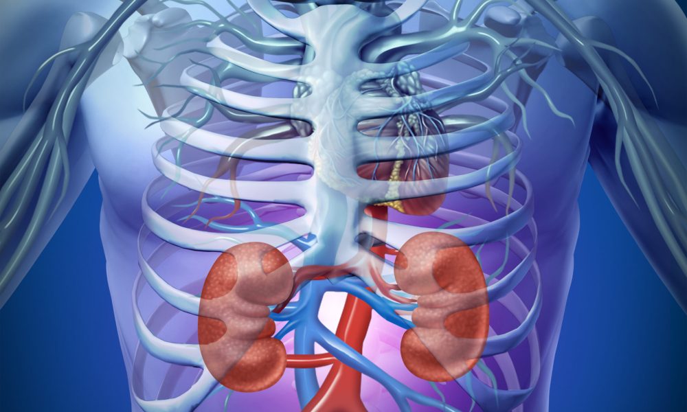 Kidney stones can be caused by a variety of factors, including low fluid intake, excessive salt consumption, and an imbalance in the chemical makeup of urine. Other potential causes include certain medications like diuretics and antibiotics, urinary tract infections, and genetics. Blood in the urine is also one of the more common signs that kidney stones may be present. However, it is important to note that blood in the urine does not necessarily indicate that you have kidney stones; other medical conditions could be responsible for this symptom. Therefore, it's important to see your doctor if you experience any changes in your urine or discomfort related to urination. You should always seek professional advice for an accurate diagnosis.